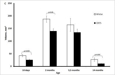 Age-related changes in the thymus of Wistar and OXYS rats