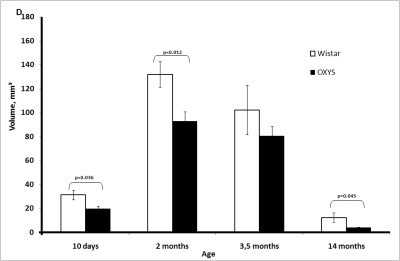 Age-related changes in the thymus of Wistar and OXYS rats