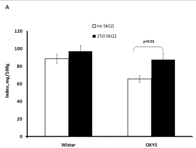 Effect of SkQ1 on thymic involution in Wistar and OXYS rats