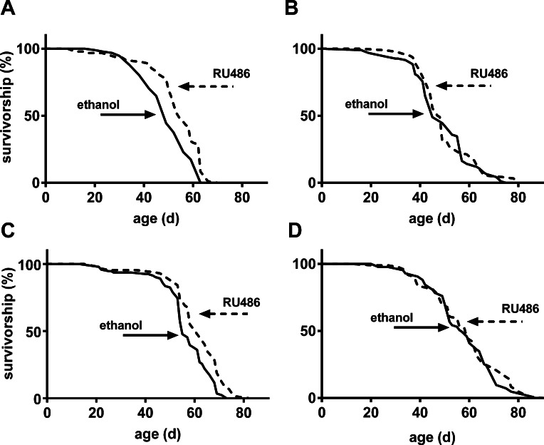Increased expression of Sir2 in the fat body extended lifespan of male and female flies