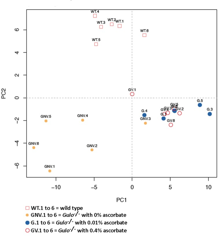 Principal component analysis (PCA) graph demonstrating the differentiation effect of ascorbate on the metabolomic profiles of wild type and Gulo−/− mice treated with different amounts of ascorbate