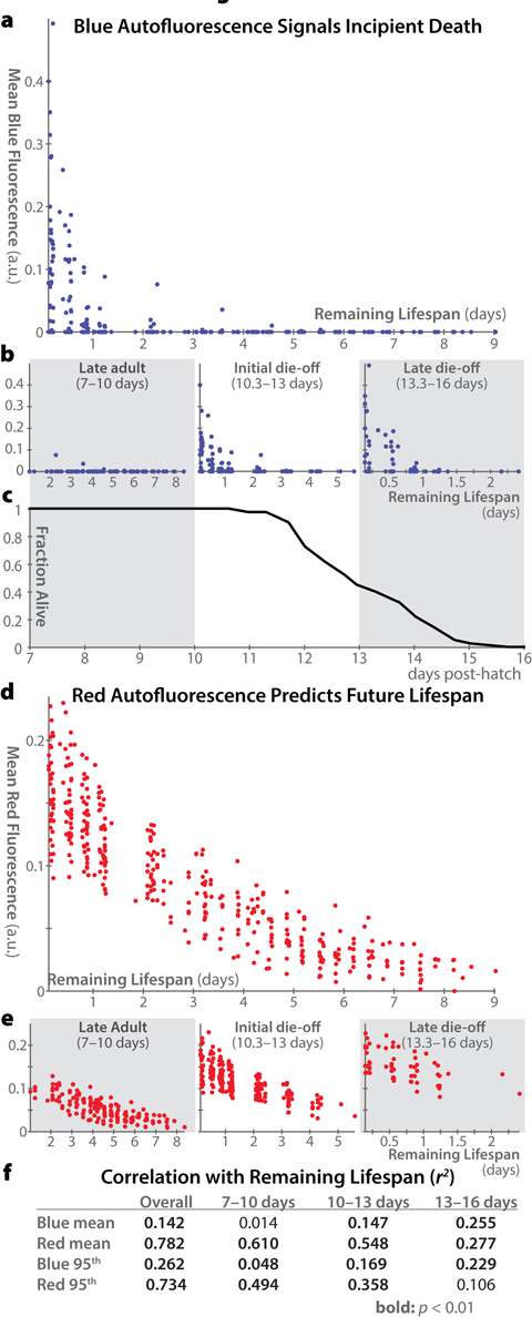 Correlations between autofluorescence and remaining lifespan