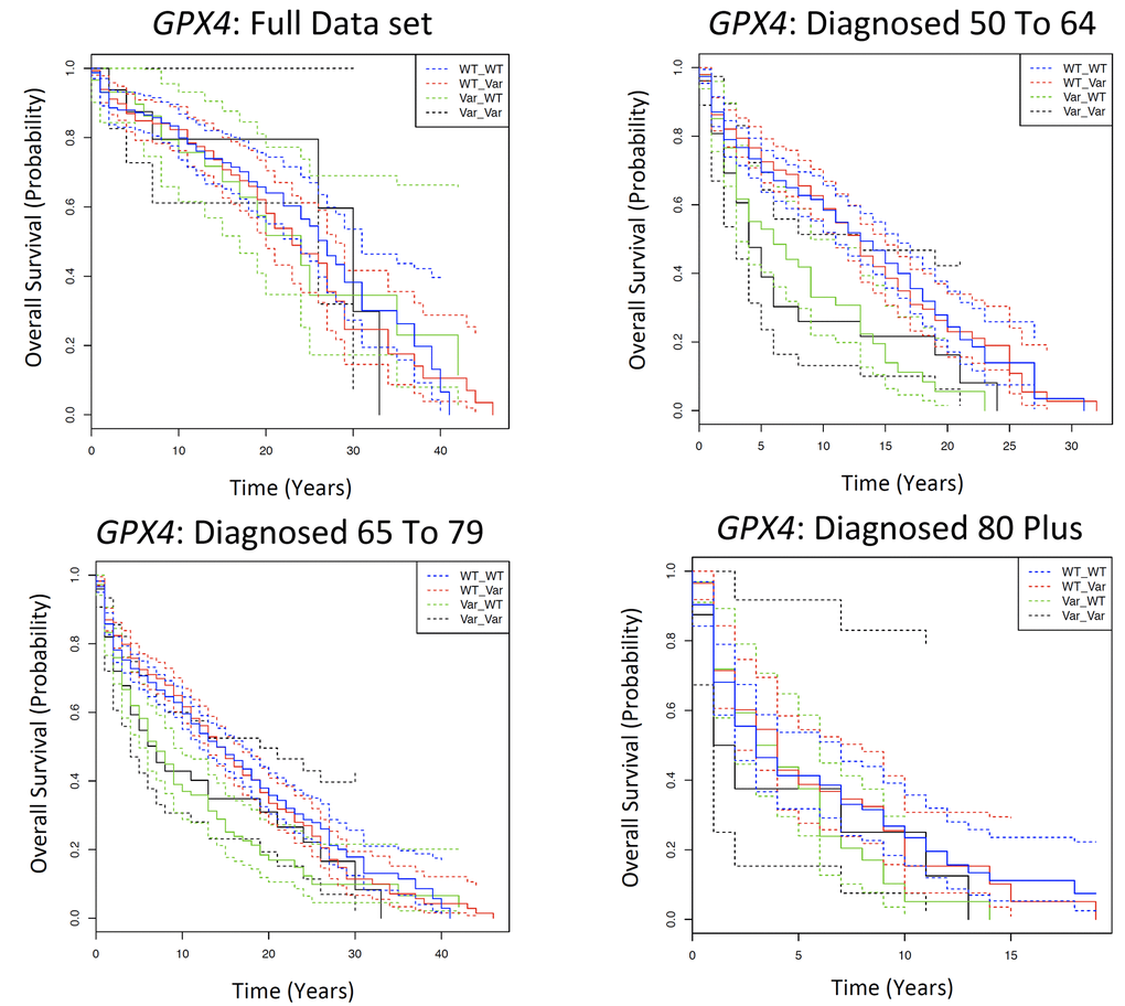 Kaplan Meier survival estimates of overall survival for GPX4 among the Framingham Heart Study according to a dominant genotype model, in which the wild type is the dominant homozygote, and the variant is the heterozygote and the minor homozygote. The full data set indicates all individuals diagnosed with cancer over the age of 50; and subsequently each age category is the individuals diagnosed with cancer in that particular age category. Solid lines indicate survival curve, dashed line indicates 95% confidence interval.