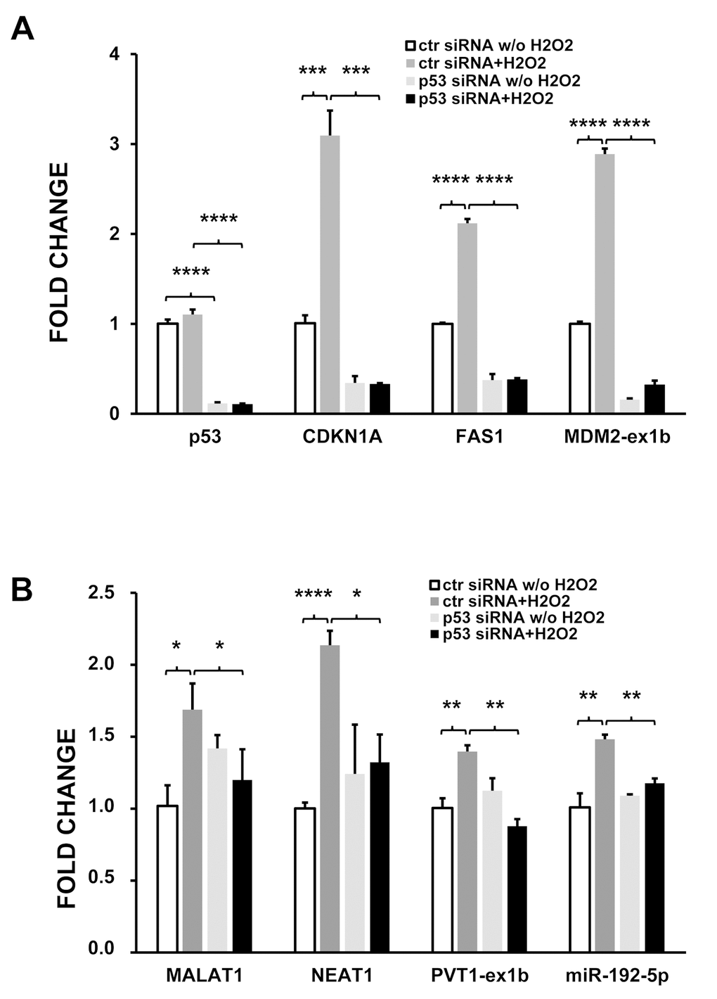 p53 silencing inhibits the induction of target ncRNAs by H2O2. HUVEC were transfected with p53 or control (ctr) siRNAs and, 24 hrs later, treated with either 200 μM H2O2 or solvent alone. After 16 hrs, total RNA was extracted and the indicated RNAs analyzed by qPCR. (A) coding RNAs; (B) ncRNAs. The bar graphs show average fold changes ±SEM of the indicated RNAs referred to untreated cells transfected with control siRNA (n= 3; *p