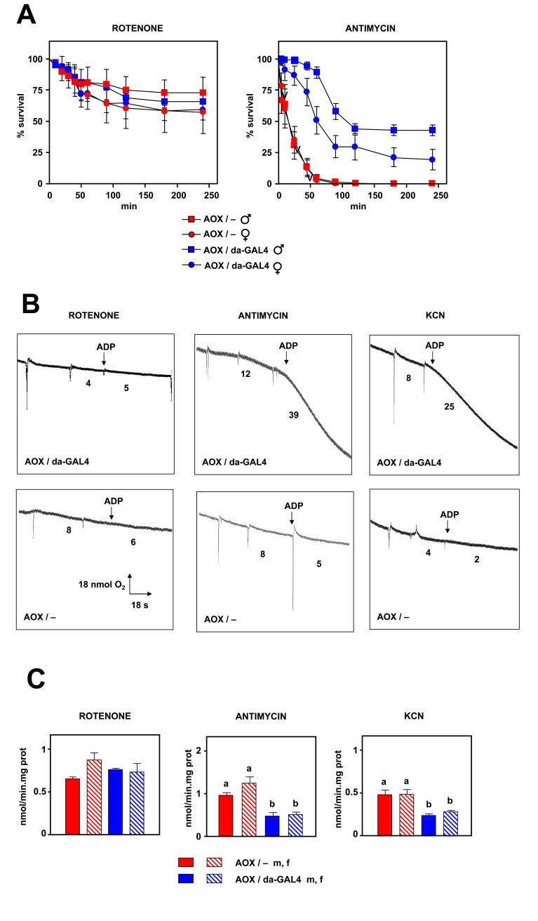 Effects of AOX expression on resistance to respiratory chain inhibitors