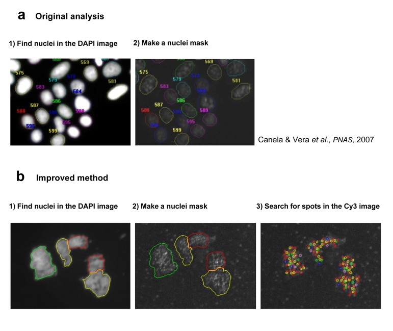 Description of the Image analysis process in original (a) and improved (b) HQ Q-FISH method