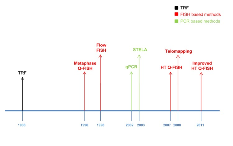 Main telomere length measurement methods timeline: TRF method (black), FISH bases methods (red) and PCR based methods (green).