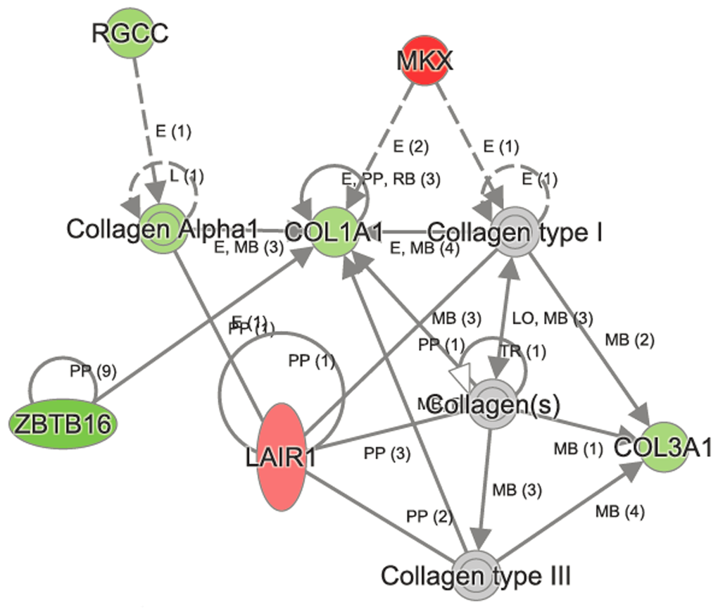 Ingenuity Pathway Analysis (IPA) identified perturbation of cellular assembly, organization, function, and maintenance in aged network to be perturbed in aged C57BL/6 lungs. Some of the key molecules in this network are shown in the figure. The genes Col1a,Col3a1,Zbtb16 and Rgcc were downregulated , whereas Mkx and Lair were upregulated in aged C57BL/6 lungs.