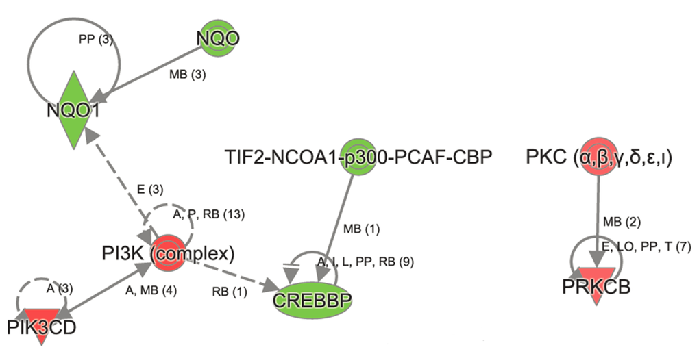 Ingenuity Pathway Analysis revealed genes in Xenobiotic metabolism to be affected in aged Atp8b1 mutant mice. One of the most important transcript in Xenobiotic metabolism namely NQO1 was decreased in aged Atp8b1 mutant lungs. Members that were decreased in Xenobiotic metabolism included CREBBP and p300. The transcript encoding members in PI3K complex (PIKCD) and PKC α,β (PRKCB) were increased in aged Atp8b1 mutant lungs.