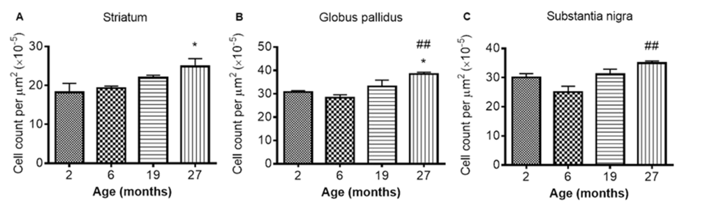 Iba1 cell count increases with age in the (A) striatum (B) globus pallidus and (C) substantia nigra at different ages. Significance level at *, P P 
