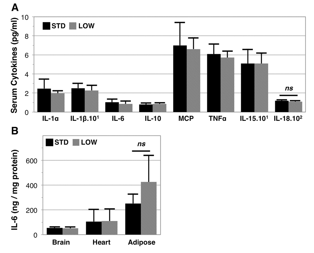 Inflammatory profile of vitamin D sufficient and insufficient mice. Serum at endpoint and used for multiplex ELISA analysis of serum cytokines, n=6 (A), ns denotes non-significance between vitamin D sufficient (STD) and insufficient (LOW) mice (IL-18: p=0.16). Interleukin-6 content was further assessed in brain, heart, and adipose tissues, n=6 (B), ns denotes non-significance in adipose IL-6 content (p=0.09).