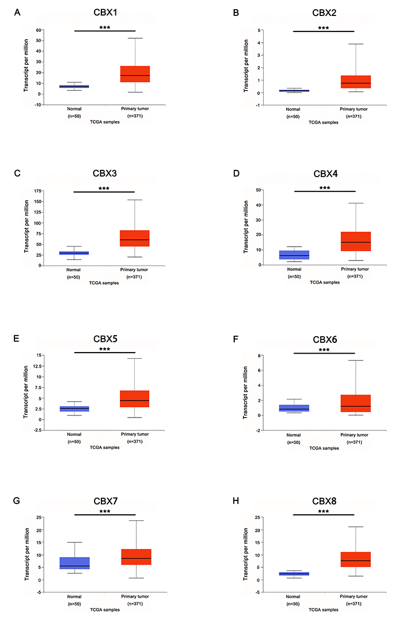 mRNA expression of distinct CBXs family members in HCC tissues and adjacent normal liver tissues (UALCAN). mRNA expressions of 8 CBXs family members were found to be over-expressed in primary HCC tissues compared to normal samples (A-H). *** p