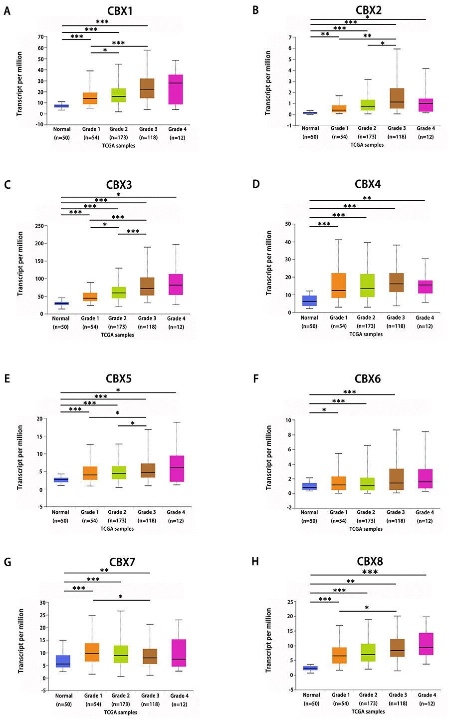 Association of mRNA expression of distinct CBXs family members with tumor grades of HCC patients. mRNA expressions of 8 CBXs family members were significantly related to tumor grades, and as tumor grade increased, the mRAN expressions of CBXs tended to be higher. The highest mRNA expressions of CBX1/3/4/5/6/8 were found in tumor grade 4 (A, C-F, H), while the highest mRNA expression of CBX2 was found in grade 3 (B). However, the highest mRNA expression of CBX7 was found in grade 1, and as tumor grade increased, the mRAN expression of CBX7 tended to be lower (G). *ppp