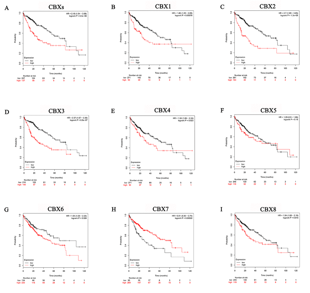 Prognostic value of mRNA expression of distinct CBXs family members in liver cancer patients (Kaplan-Meier Plotter). Generally, higher combinatory mRNA expressions of all 8 CBXs family members were associated with poorer OS in liver cancers patients (A). Specifically, higher mRNA expressions of CBX1/2/3/4/6/8 were significantly associated with shorter OS of liver cancers patients (B-E, G, I), while higher mRNA expression of CBX7 was significantly related to favorable OS of liver cancer patients (H). However, CBX5 mRNA expression showed no correlation with prognosis in liver cancer patients (F).