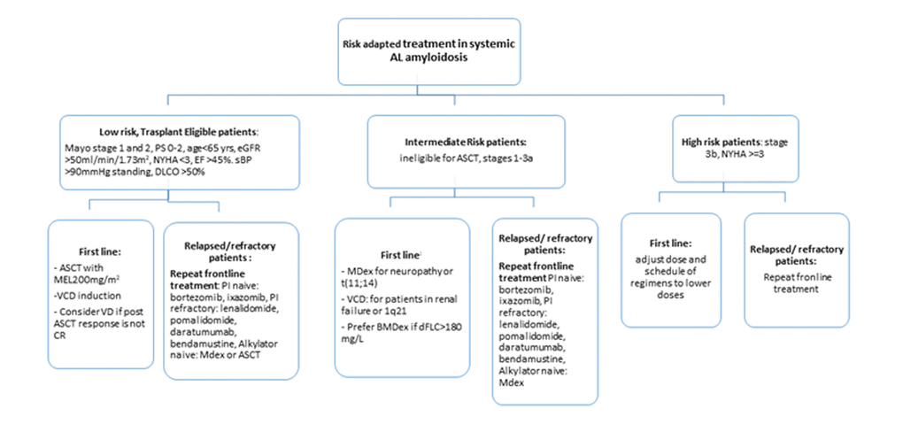 Risk adapted treatment recommendations in systemic AL amyloidosis. Adapted from Palladini et al 2016(115) and Gavriatopoulou et al 2018. Data mainly comes from uncontrolled trials. ASCT: autologous stem cell transplant, DLCO: lung diffusion of CO, EF: ejection fraction, MEL: melphalan, NYHA: New York Heart Association, OS: performance status by ECOG, sBP: systolic blood pressure, Stage is Mayo Clinic cardiac stage, VCD: velcade+cyclophosphamide+dexamethasone, CD: velcade+ dexamethasone, MDex: melphalan+dexamethasone, CR: complete response, PI: proteasome inhibitor, BMDex: bortezomib+ melphalan+dexamethasone.