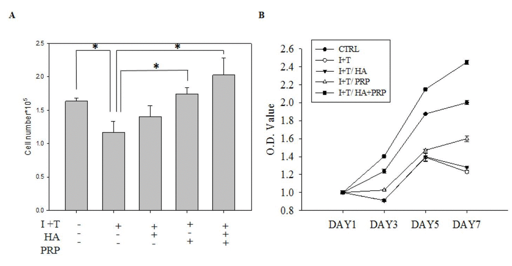 Effects of platelet-rich plasma and hyaluronic acid (HA+PRP) on cellular activity of primary chondrocytes obtained from osteoarthritic patients. (A) In vitro proliferation ability of chondrocytes was examined after two-day treatment of IL-1β+ TNF-α (I+T) conditioned medium in the presence of HA, PRP, and HA+PRP. (B) Assessment of cell viability on day 1, 3, 5, and 7 via MTT assay in HA, PRP, and HA+PRP treated chondrocytes. CTRL, control; I, IL-1β; T, TNF-α. *p
