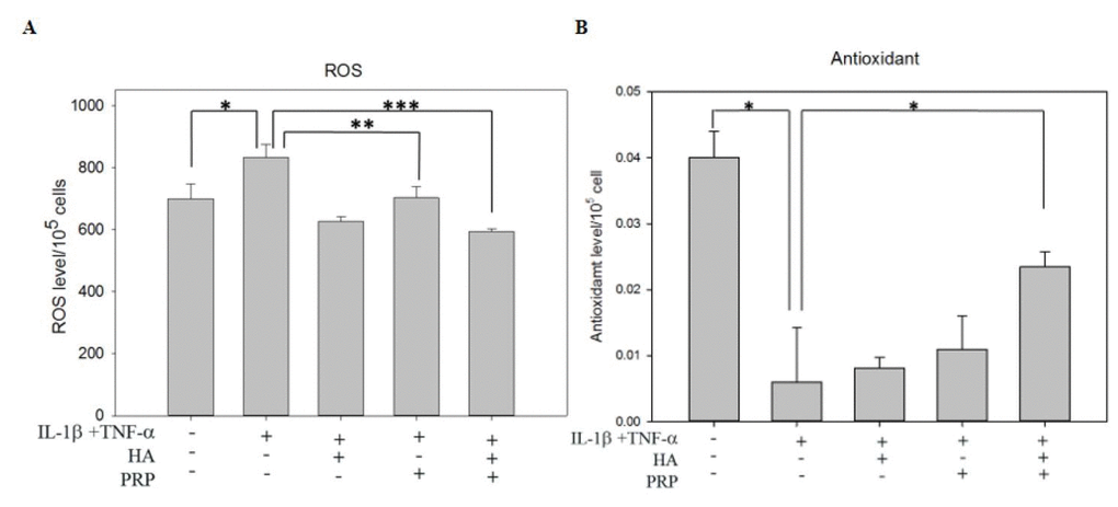 Effects of HA+PRP on oxidative stress in chondrocytes. (A) ROS and (B) antioxidant levels of chondrocytes were recorded after treatment of IL-1β+TNF-α (I+T) conditioned medium in the presence of HA, PRP, and HA+PRP. *p