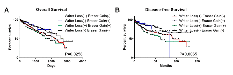 OS and DFS of ccRCC patients with simultaneous alterations of writer genes and eraser genes.