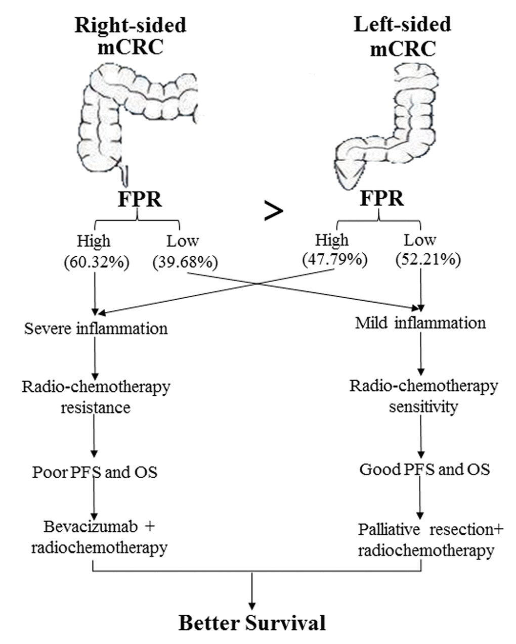 Diagram depicting the cause of survival difference between left- and right-sided mCRC and the optimal common treatment selection for the patients according to FPR.