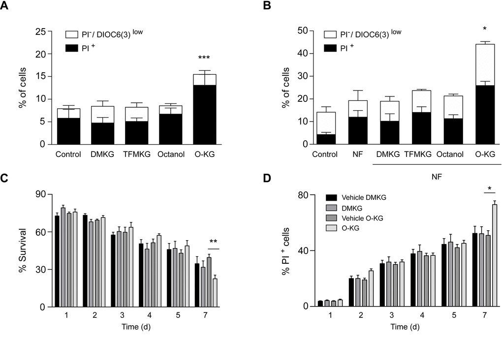 Impact of α-ketoglutarate precursors on cell viability. (A-B) Cytofluorimetric assessment of cell death elicited upon administration of distinct α-ketoglutarate precursors to U2OS cells in complete (A) or nutrient free medium (NF) (B) for 4 h. PI+ = dead cells; PI-/DiOC6(3) low cells = dying cells. Data (depicted as percentage of cells) represent mean ± S.D. (one representative experiment, n=3). *** p t test). (C). Survival rates of treated (200 µM) and control cells were analyzed at indicated timepoints via clonogenicity assay. (D) Plasma membrane integrity via PI staining of treated (200 µM) versus control yeast cells was monitored at indicated timepoints during chronological aging. Data represent mean ± S.E.M of at least 3 independent experiments. ** p 