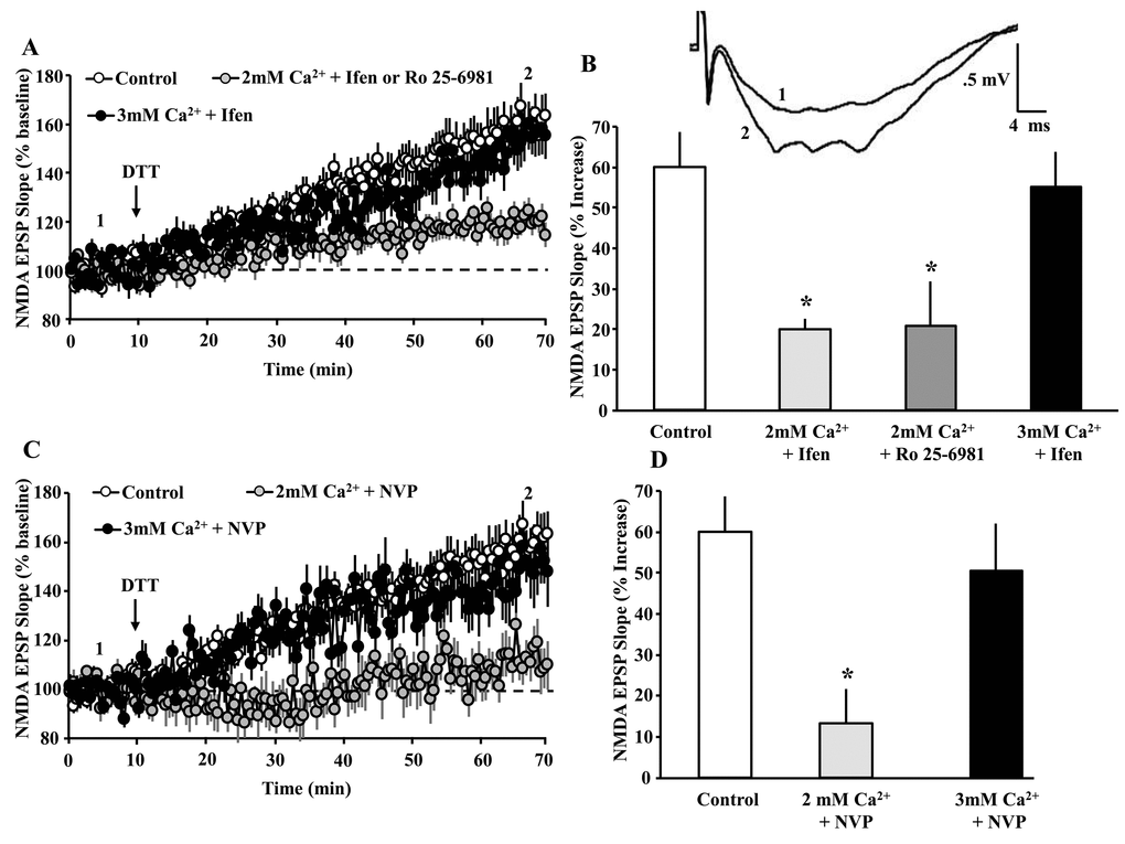NMDAR activity and Ca2+ are required for the DTT-induced potentiation of NMDAR synaptic function. (A) Time course of mean (±SEM) NMDAR-fEPSP slope normalized to the baseline (dashed line) for the control condition (open circles), in the presence of ifenprodil or Ro 25-6981 in 2 mM Ca2+ recording medium (gray circles), and ifenprodil in 3 mM Ca2+ recording medium (filled circles). For clarity, the responses for the GluN2B antagonists (ifenprodil and Ro 25-6981) in 2 mM Ca2+ recording medium were combined. The arrow indicates the time of DTT (0.5 mM) application. The insert provides an example of the growth of the NMDAR-mediated fEPSP during baseline (1) and 60 min following application of the DTT (2) under the control condition. (B) Bar graph demonstrates the percent change in NMDAR-mediated fEPSP response during the last 5 min of recording, due to DTT application under the control condition (open bar, n = 31/26 slices/ animals), 2 mM Ca2+ + ifenprodil (light gray bar, n = 8/8 slices/animals), 2 mM Ca2+ + Ro 25-6981 (gray bar, n = 5/5 slices/animals), and 3 mM Ca2+ + ifenprodil (black bar, n = 8/4 slices/animals). (C) Time course of mean (±SEM) NMDAR-fEPSP slope normalized to the baseline (dashed line) for the control condition (open circles), in the presence of NVP in 2 mM Ca2+ recording medium (gray circles), and NVP in 3 mM Ca2+ recording medium (filled circles). The arrow indicates the time of DTT (0.5 mM) application. (D) Bar graph demonstrates the percent change in NMDAR-mediated fEPSP response during the last 5 min of recording, due to DTT application under the various conditions including control (open bar, n = 31/26 slices/animals), NVP (light gray bar, n = 7/6 slices/animals), and 3 mM Ca2+ + NVP (black bar, n= 8/4 slices/animals). For B & D, the asterisks indicate a significant difference relative to control.