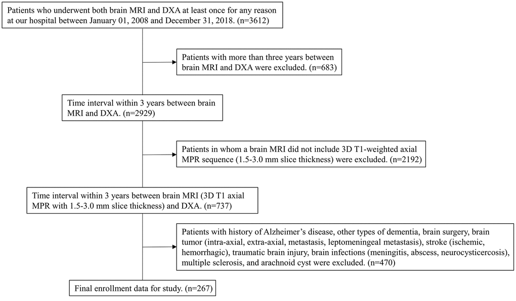 Flow chart of the process for selecting eligible patients from individuals who underwent both brain MRI and DXA in our hospital during the period of January 1, 2008, to December 31, 2018. MRI=magnetic resonance imaging; DXA=dual-energy X-ray absorptiometry; MPR=multiplanar reconstruction.