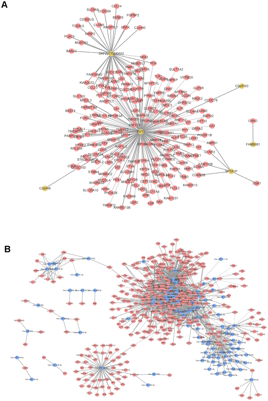 Co-expression network analysis. (A) mRNA-lncRNA co-expression network. (B) mRNA-miRNA co-expression network. Red node was mRNA, yellow node was lncRNA, and blue node was miRNA. The line thickness indicates the relative size of correlation coefficient.