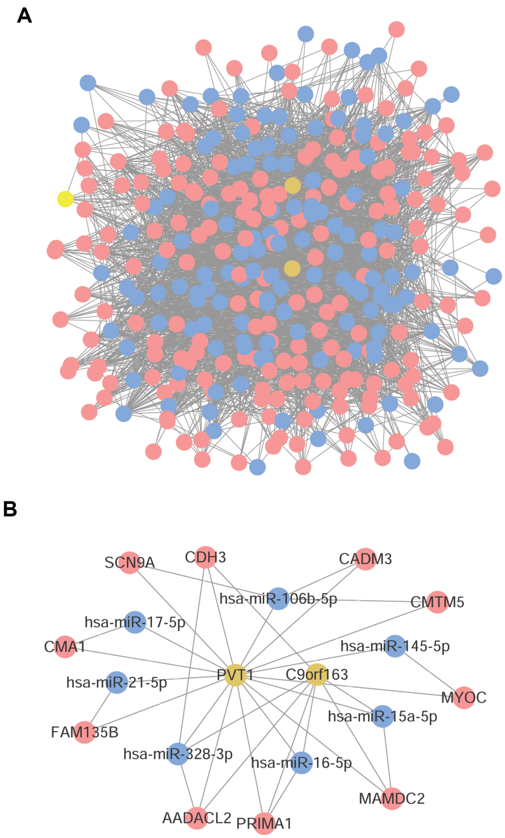 Construction of ceRNA network. (A) The ceRNA network constructed by 197 mRNAs, 135 miRNAs, and 3 lncRNAs. (B) The ceRNA network constructed by 7 miRNAs, 2 lncRNAs, and 10 mRNAs. Red node was mRNA, yellow node was lncRNA, and blue node was miRNA.
