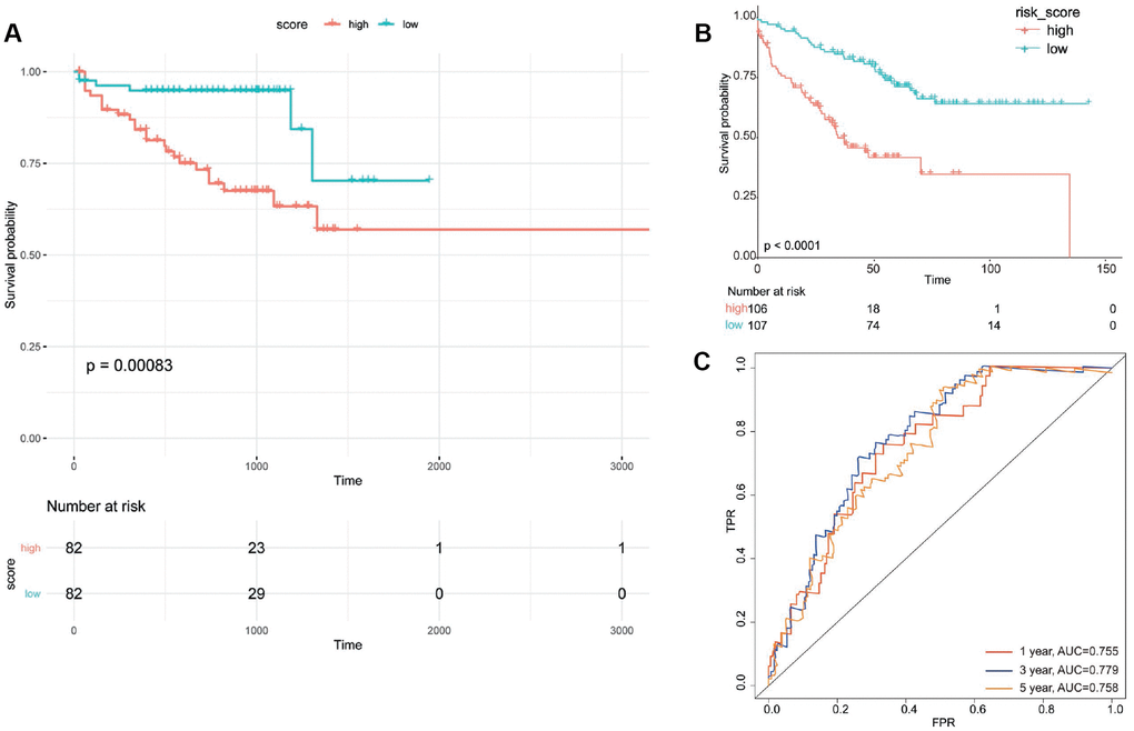 Validation of obtained scoring model. Survival curve of patients in high-risk group and low-risk group divided according to prognostic signature for UCSC Xene database (A) and GSE17538 (B). (C) Area under receiver operation characteristic curve (AUC) for 1/3/5 survival rate of patients in GSE17538. FPR, false positive rate; TPR, true positive rate.