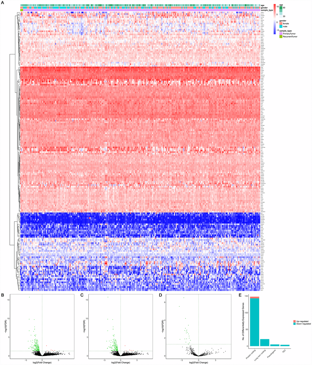 The differentially expressed genes between primary and recurrent STSs. (A) The heatmap and the volcano plot (B) of 178 differentially expressed genes between 259 primary and 3 recurrent STSs; (C) The volcano plot of 148 differentially expressed protein-coding genes between 259 primary and 3 recurrent STSs; The volcano Plot (D) of 21 differentially lncRNAs between 259 primary and 3 recurrent STSs; (E) The composition of differentially expressed genes. The log(fold-change) > 1.0 or 