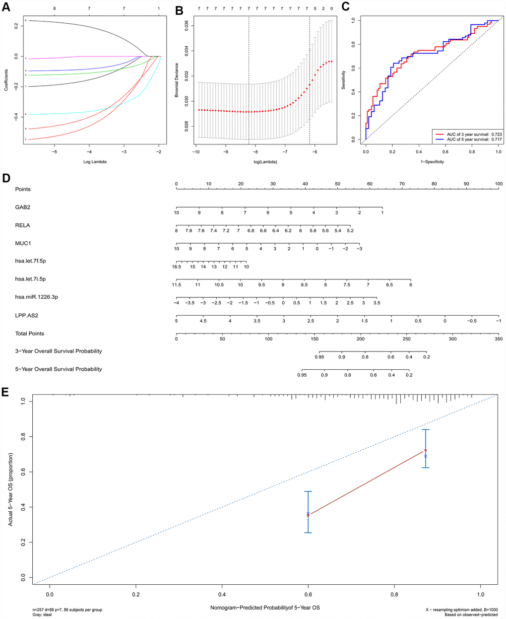 The results of the multivariate Cox regression, nomogram (E) and model diagnosis process (B, C, D, F) based on the key members in the ceRNA network. Seven potential prognosis-related ceRNAs were integrated into a new multivariable model. The results of the Lasso regression suggested that all seven genes were essential for modeling (A, B). The nomogram was constructed based on the model (D). The ROC and the calibration curves indicated acceptable accuracy (Area Under Curve (AUC) of 3-year survival: 0.731; AUC of 5-year survival: 0.724) and discrimination of the nomogram (C, E).