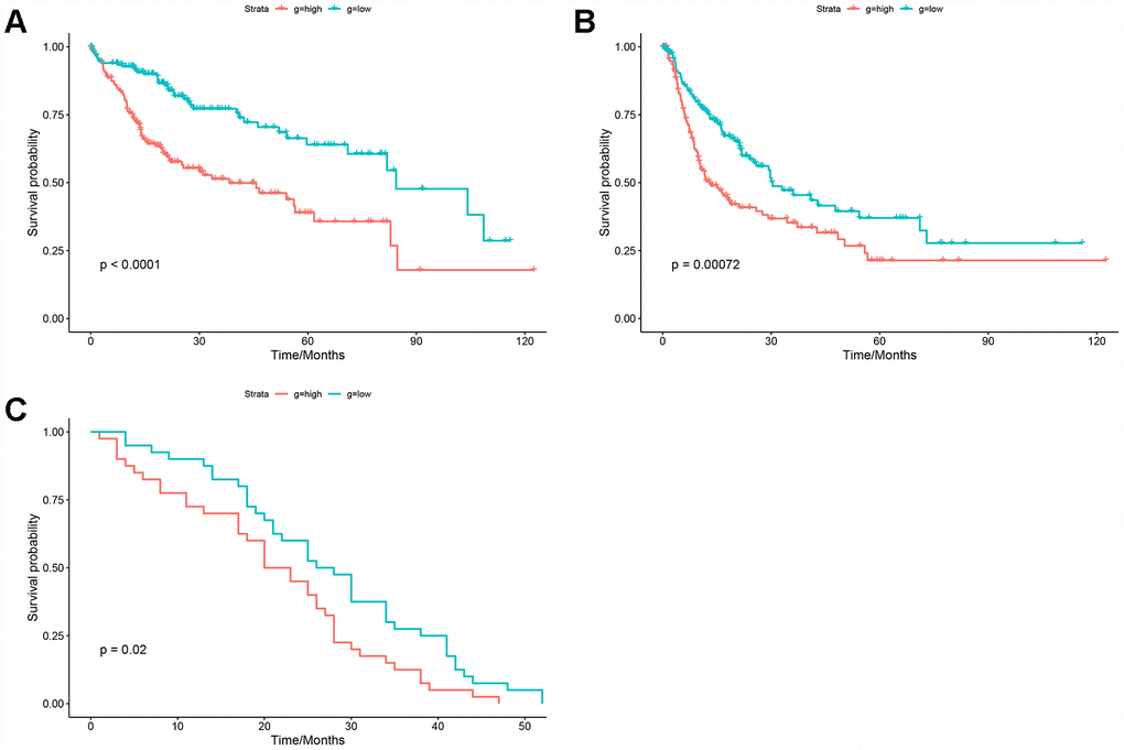 Prognostic value of the HGSVA score. (A) The HGSVA score was associated with overall survival. (B) The HGSVA score was associated with recurrence-free survival. (C) The HGSVA score was associated with overall survival, which was verified by the whole blood profile.
