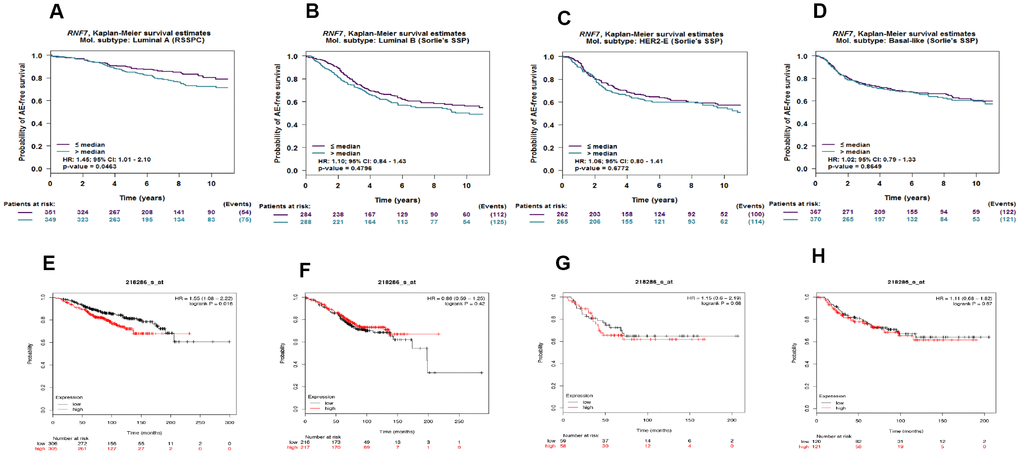 High expression of SAG mRNA correlated with poor outcomes in luminal A breast cancer. Kaplan-Meier survival analysis performed using bc-GenExMiner 4.3 shows the relationship between SAG expression and survival in luminal A (A), luminal B (B), HER2-expressing (C) and basal-like (D) breast cancers. These data were re-analyzed and confirmed using KM-plot (E–H).