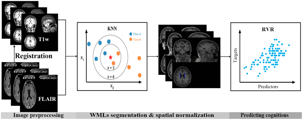 Flow chart for analysis in the present study. First, FLAIR images were registered to the corresponding individual’s T1 space. Then, the k-nearest neighbor (KNN) classification algorithm was used to segment the white matter lesions (WMLs) automatically. Finally, a machine learning model, relevance vector regression (RVR), was used to predict cognitive performance based on the spatial probability maps of the WMLs.